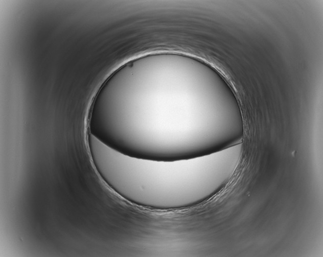 X0000088901535200706080816