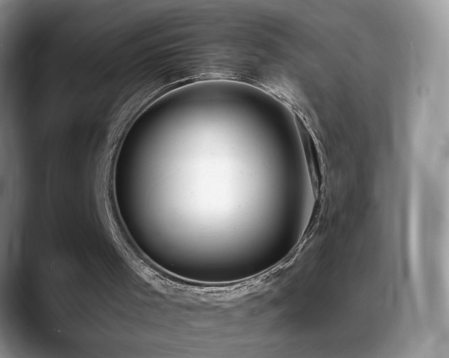 X0000088900001200706081314