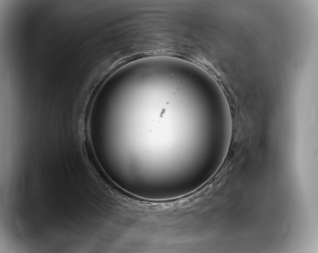 X0000088900002200706081314