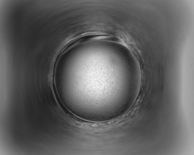 X0000088900003200706081314
