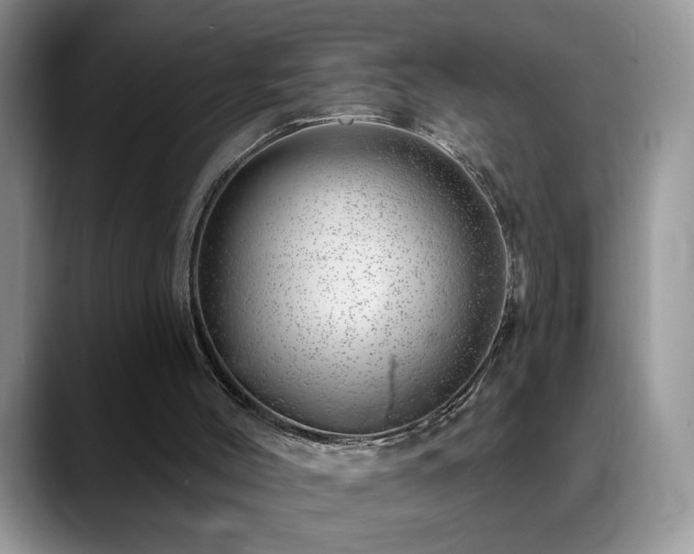 X0000088900004200706081314