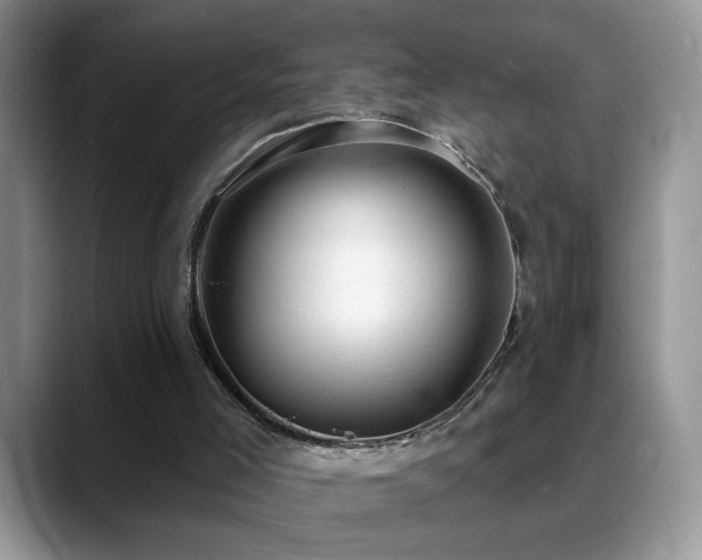 X0000088900005200706081314