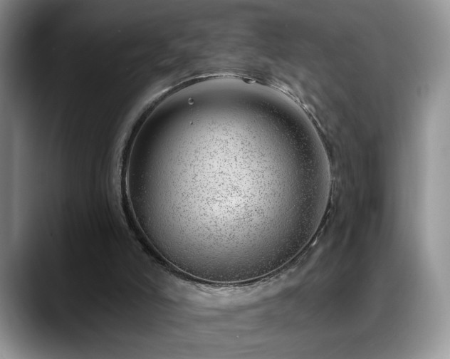 X0000088900006200706081314