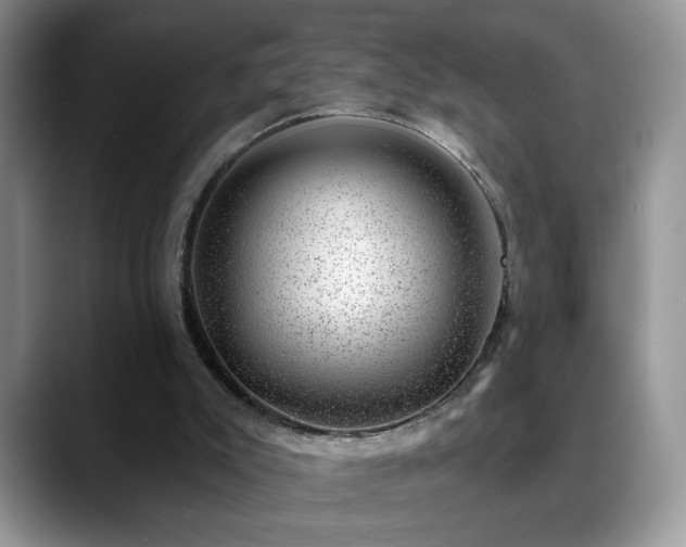 X0000088900007200706081314