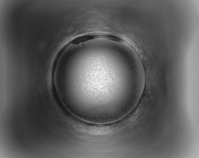 X0000088900008200706081314