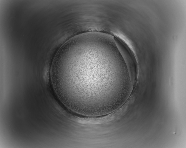 X0000088900009200706081314