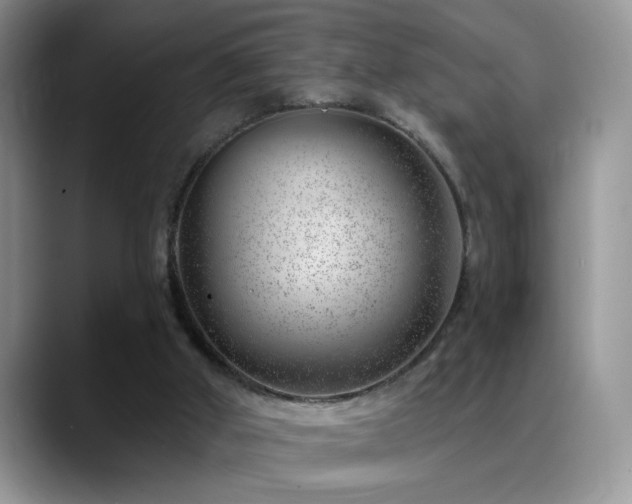 X0000088900010200706081314
