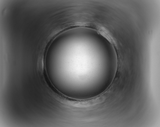 X0000088900011200706081314