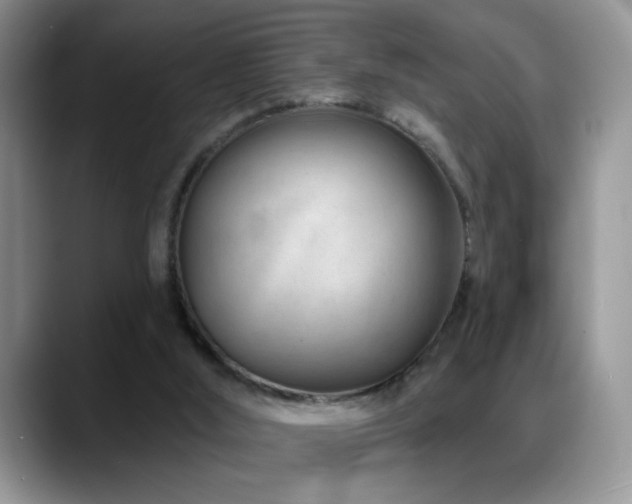 X0000088900012200706081314
