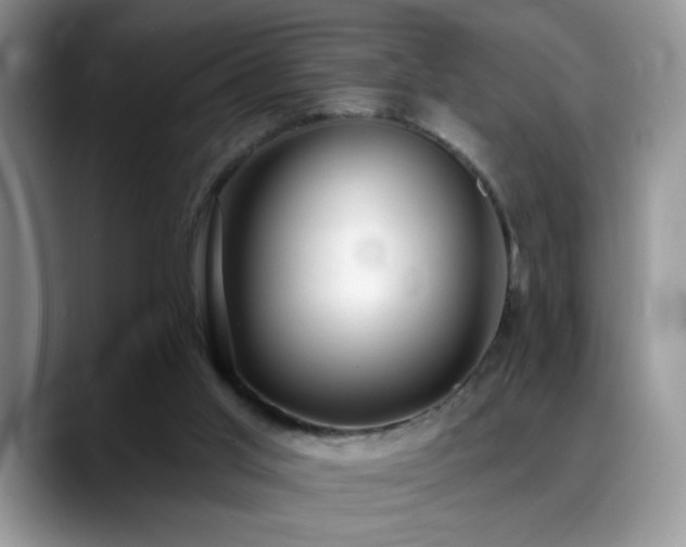 X0000088900013200706081314