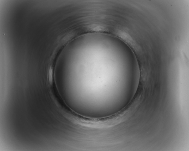X0000088900014200706081314