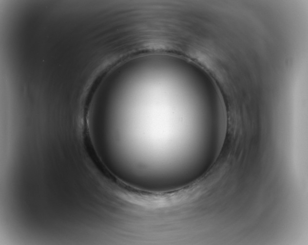 X0000088900015200706081314