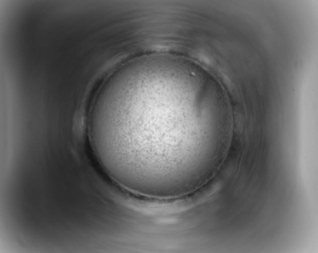 X0000088900016200706081314