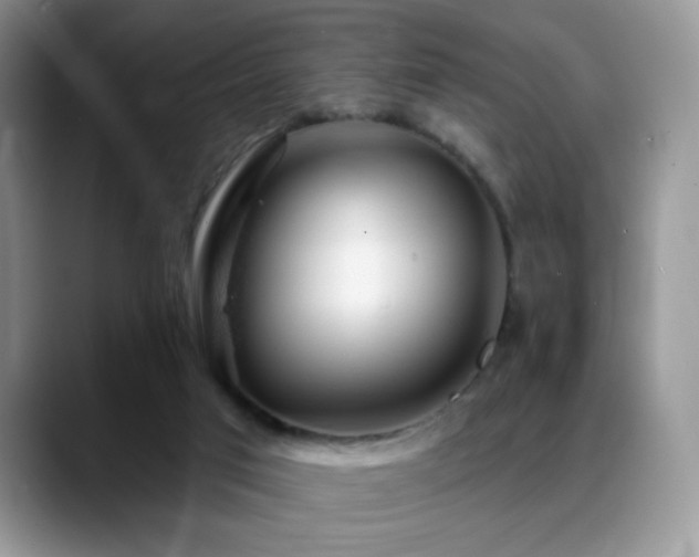 X0000088900017200706081314