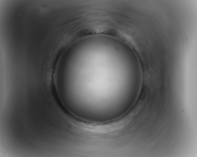 X0000088900018200706081314