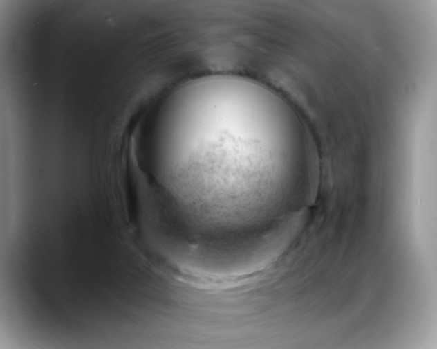 X0000088900019200706081314