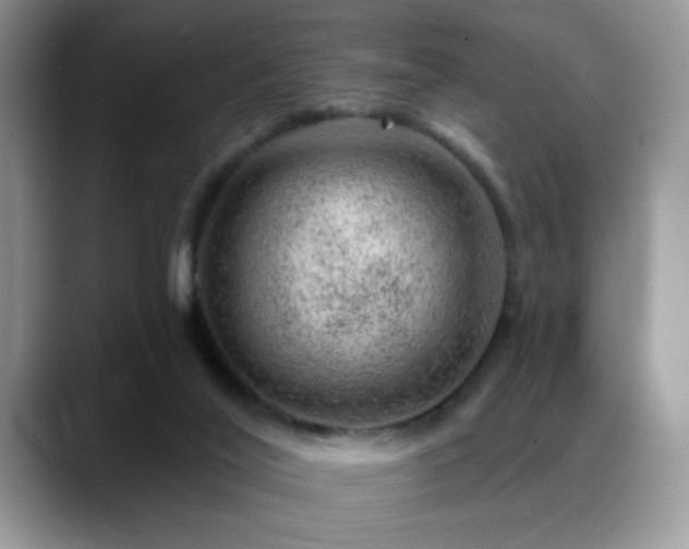 X0000088900020200706081314