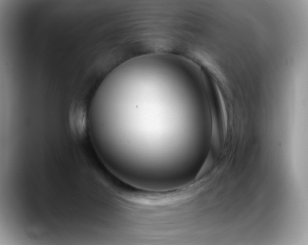 X0000088900021200706081314
