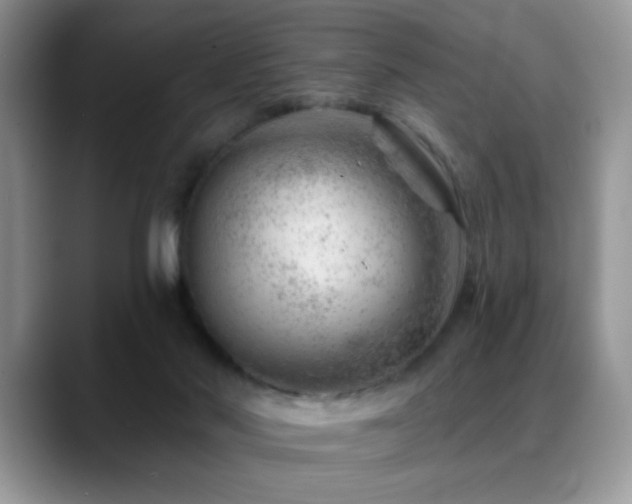 X0000088900022200706081314