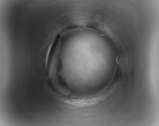 X0000088900023200706081314