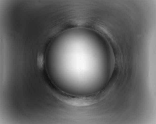 X0000088900024200706081314