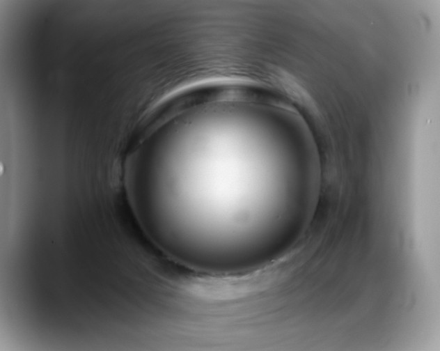 X0000088900025200706081314