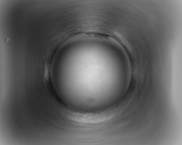 X0000088900026200706081314