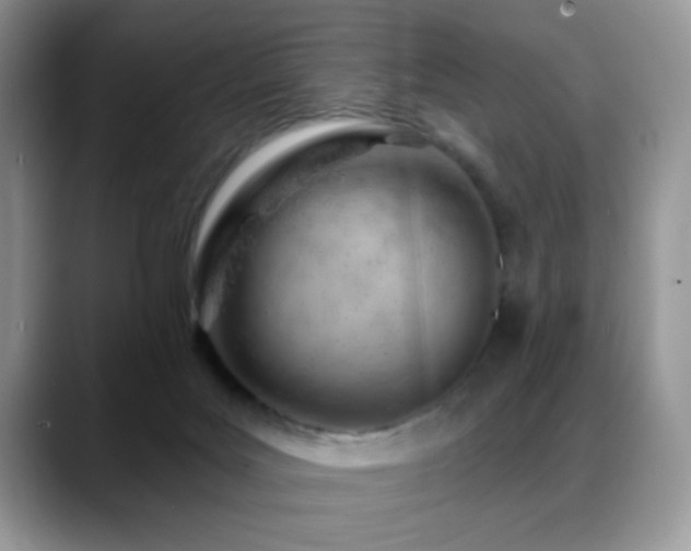 X0000088900027200706081314