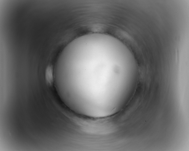 X0000088900028200706081314