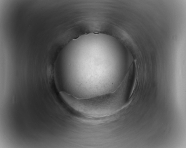 X0000088900029200706081314