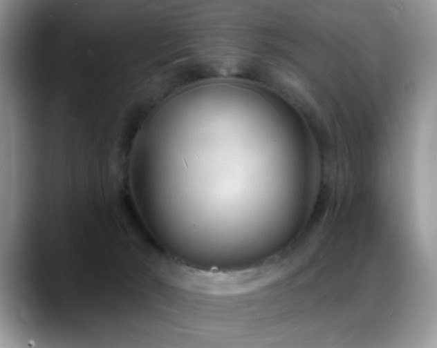 X0000088900030200706081314