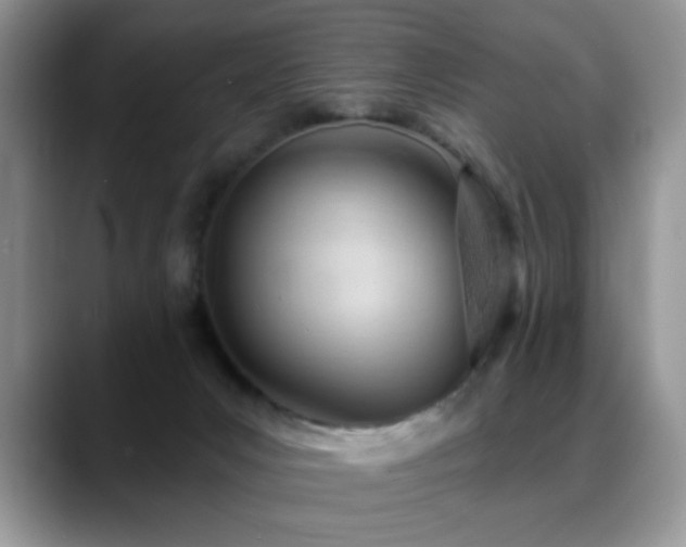 X0000088900031200706081314
