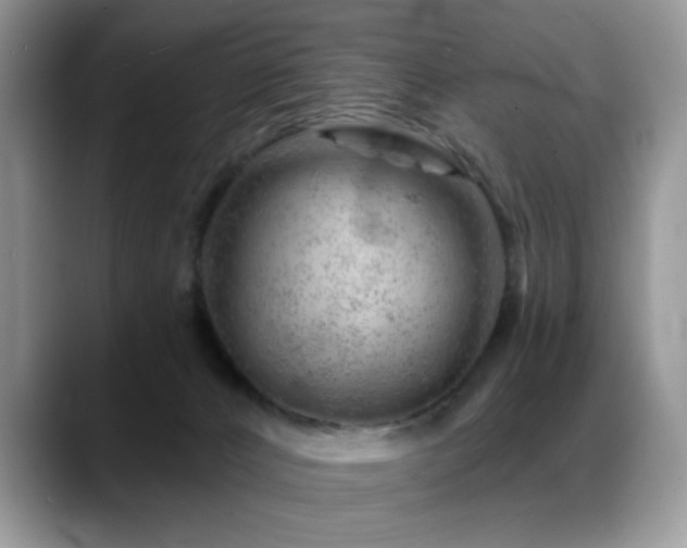 X0000088900032200706081314