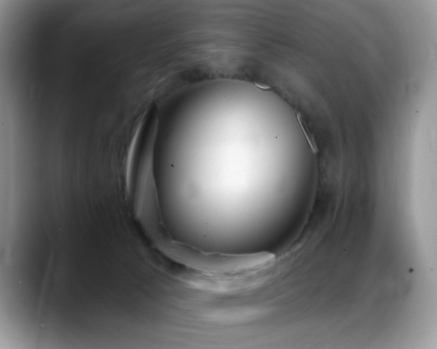 X0000088900033200706081314