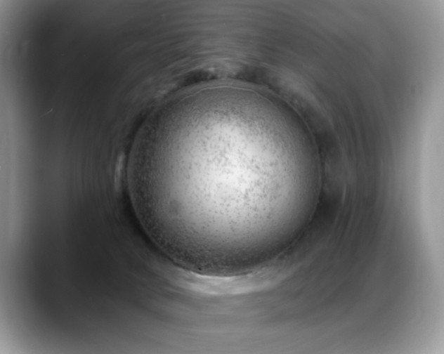 X0000088900034200706081314