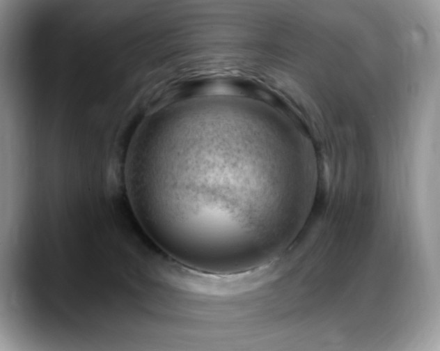 X0000088900035200706081314