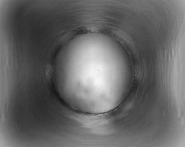 X0000088900036200706081314