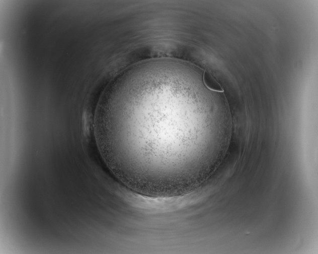 X0000088900038200706081314