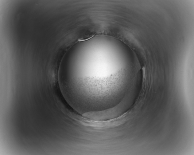 X0000088900039200706081314