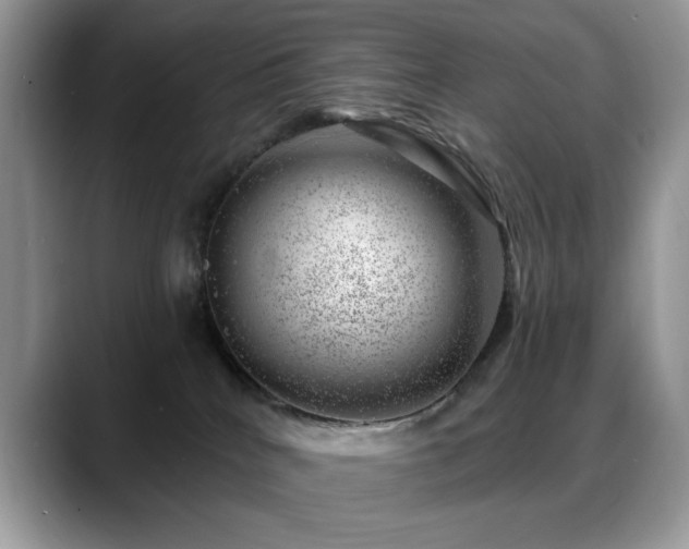 X0000088900040200706081314