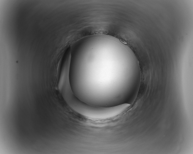 X0000088900041200706081314