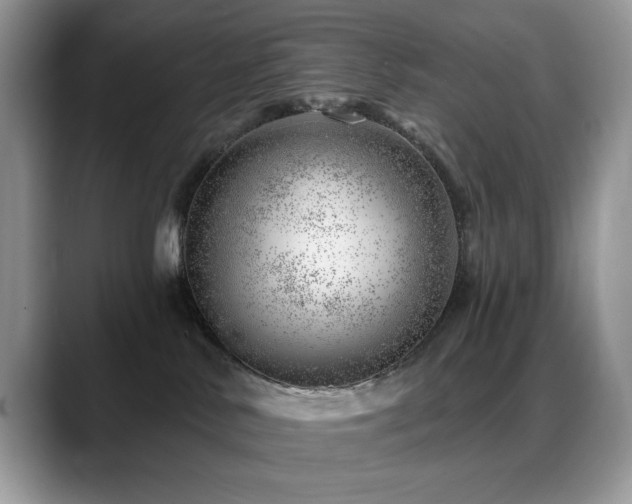 X0000088900042200706081314