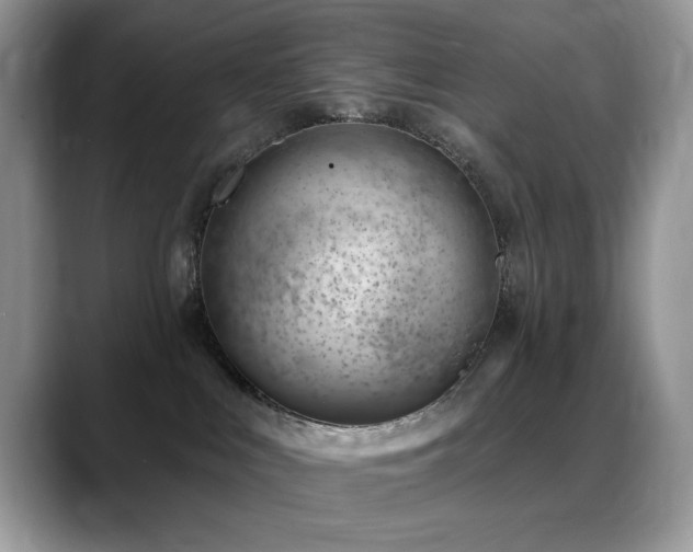 X0000088900043200706081314
