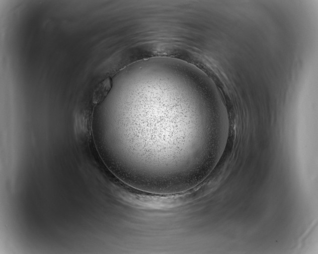 X0000088900044200706081314