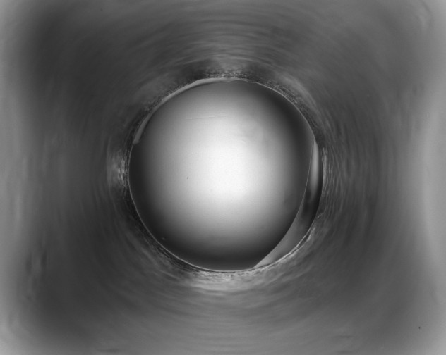 X0000088900045200706081314