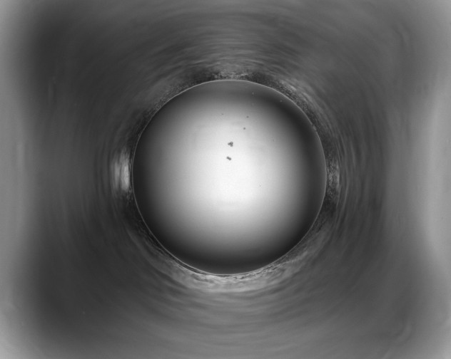 X0000088900046200706081314