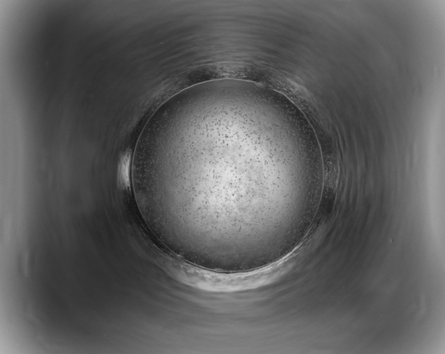 X0000088900047200706081313