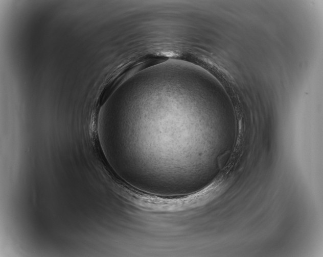 X0000088900048200706081313
