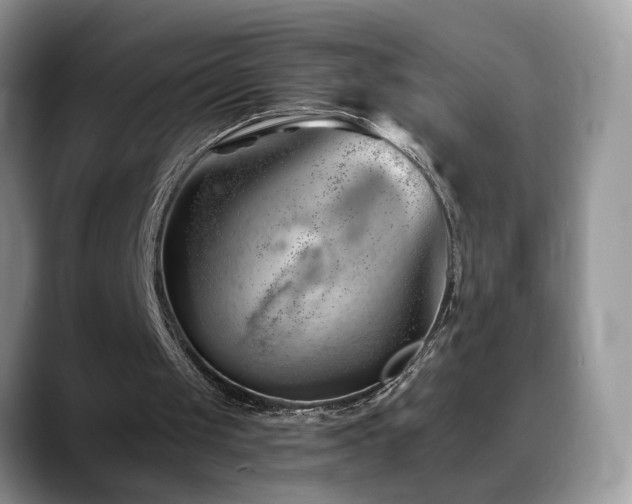 X0000088900049200706081313