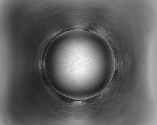 X0000088900050200706081313